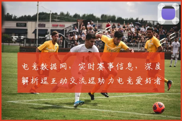 电竞数据网，实时赛事信息，深度解析逗互动交流逗助力电竞爱好者