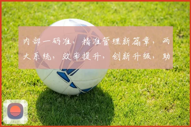 内部一码准，精准管理新篇章，两大系统，效率提升，创新升级，助力企业腾飞。