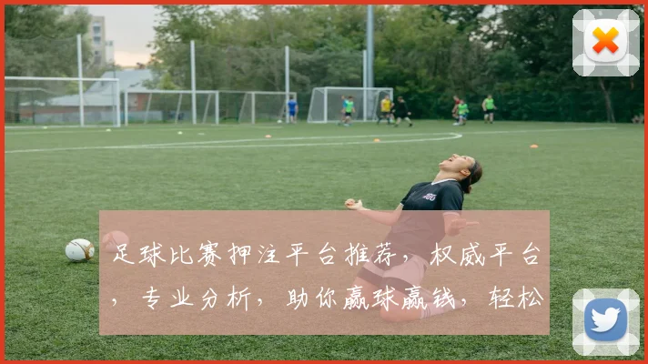 足球比赛押注平台推荐，权威平台，专业分析，助你赢球赢钱，轻松上手